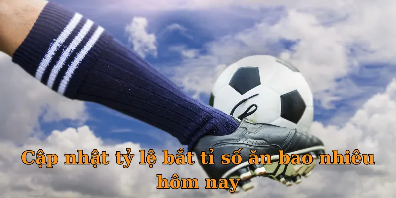 Cập nhật tỷ lệ bắt tỉ số ăn bao nhiêu hôm nay