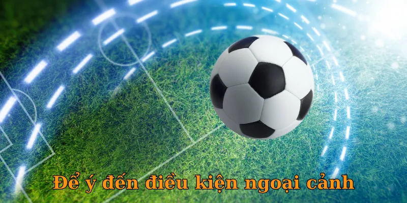 Để ý đến điều kiện ngoại cảnh