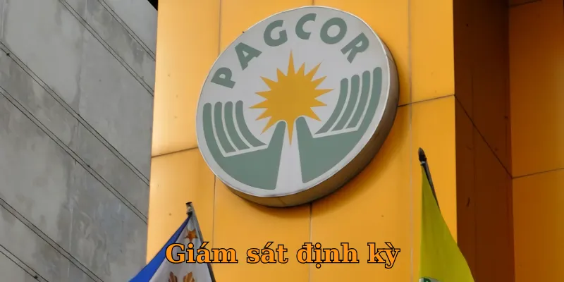 Giám sát định kỳ