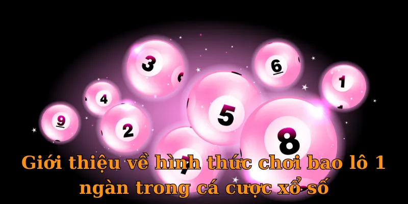 Giới thiệu về hình thức chơi bao lô 1 ngàn trong cá cược xổ số