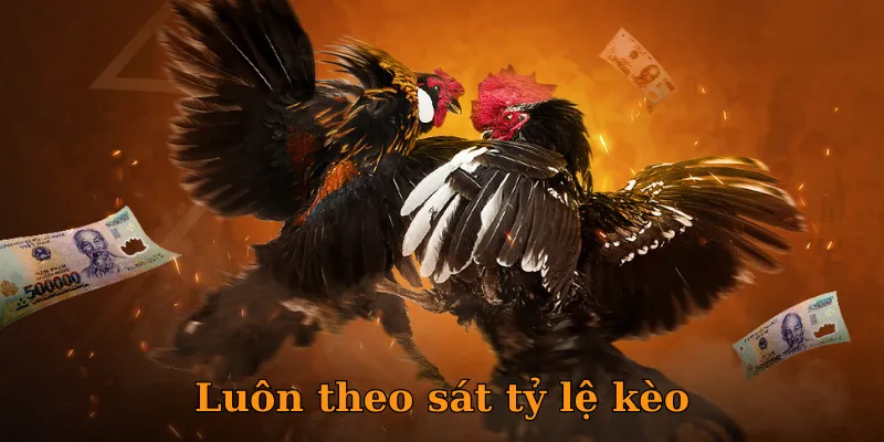 Luôn theo sát tỷ lệ kèo