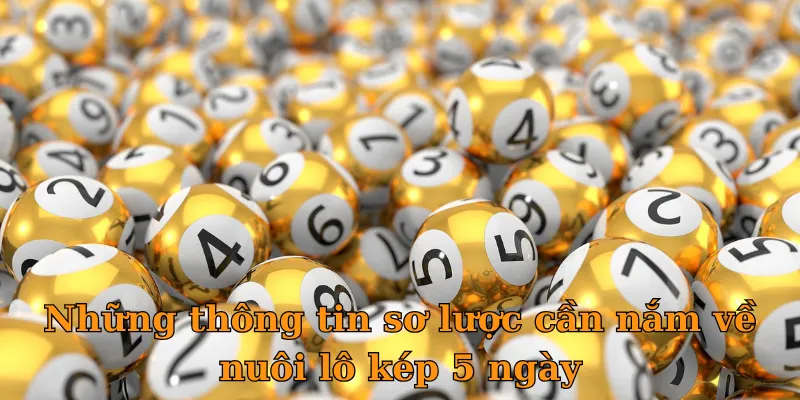 Những thông tin sơ lược cần nắm về nuôi lô kép 5 ngày