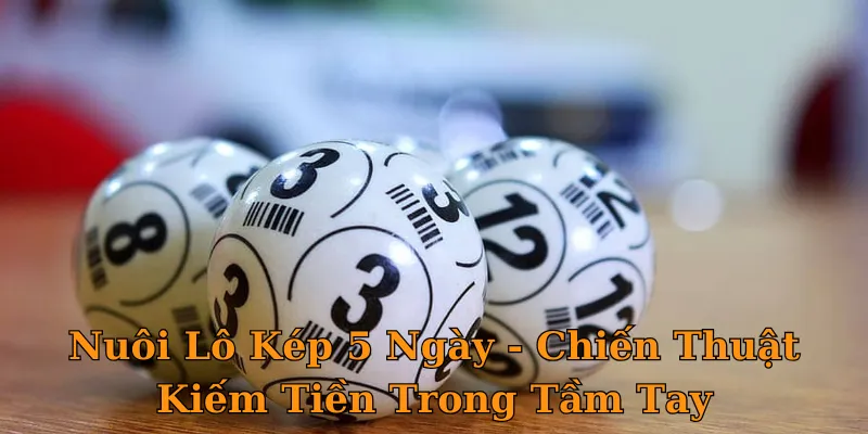 Nuôi Lô Kép 5 Ngày - Chiến Thuật Kiếm Tiền Trong Tầm Tay