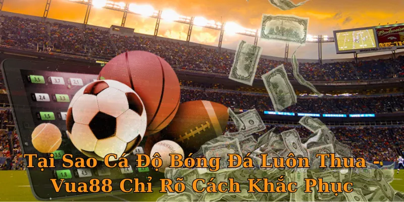 Tại Sao Cá Độ Bóng Đá Luôn Thua - Vua88 Chỉ Rõ Cách Khắc Phục